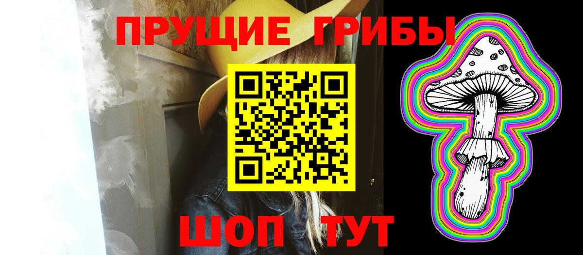 Галлюциногенные грибы Psilocybine cubensis  Галлюциногенные грибы прущие грибы  Вход с VPN  закладка  Заречный 
